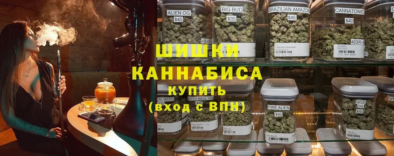 Конопля OG Kush  Краснознаменск 